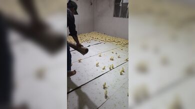 KR TWITTER PORN VIDEOS 00159660