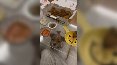 KR TWITTER PORN VIDEOS 00008698