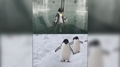 KR TWITTER PORN VIDEOS 00009231
