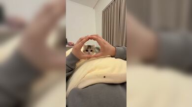 KR TWITTER PORN VIDEOS 00009246
