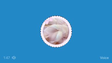 KR TWITTER PORN VIDEOS 00045033