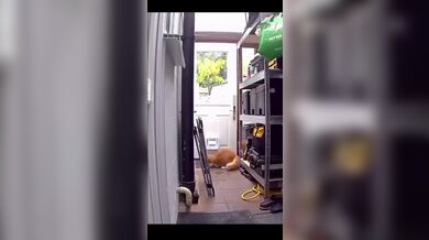 KR TWITTER PORN VIDEOS 00032549