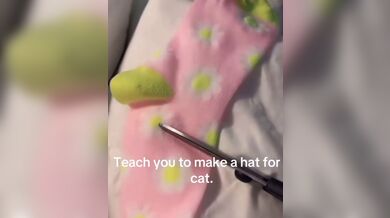 KR TWITTER PORN VIDEOS 00032548