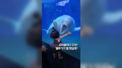 KR TWITTER PORN VIDEOS 00096964