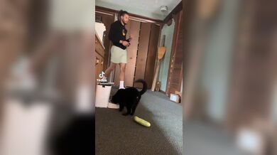 JP TWITTER PORN VIDEOS 00130837