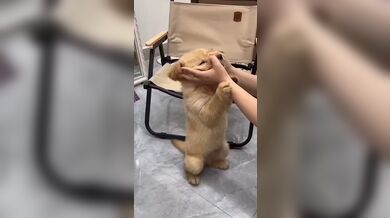 KR TWITTER PORN VIDEOS 00109829