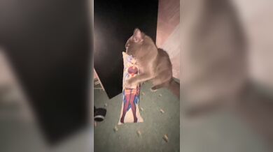 KR TWITTER PORN VIDEOS 00045501
