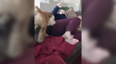 JP TWITTER PORN VIDEOS 00068263