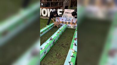 KR TWITTER PORN VIDEOS 00029696
