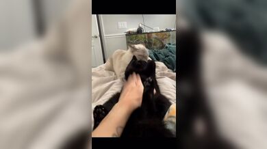 KR TWITTER PORN VIDEOS 00029785