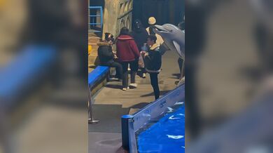 KR TWITTER PORN VIDEOS 00042761