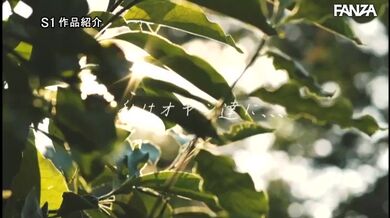 JP TWITTER PORN VIDEOS 00157616
