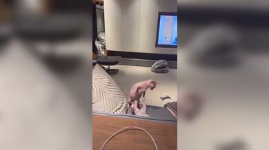 KR TWITTER PORN VIDEOS 00009769