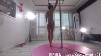 KR TWITTER PORN VIDEOS 00010079