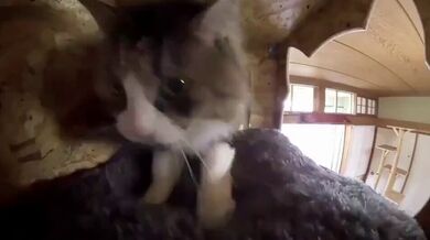 KR TWITTER PORN VIDEOS 00081527