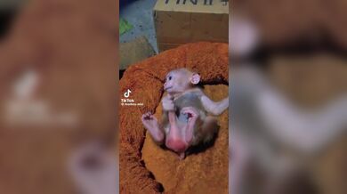 KR TWITTER PORN VIDEOS 00131623