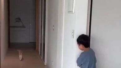 JP TWITTER PORN VIDEOS 00162210