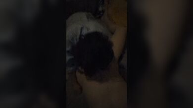 JP TWITTER PORN VIDEOS 00162252