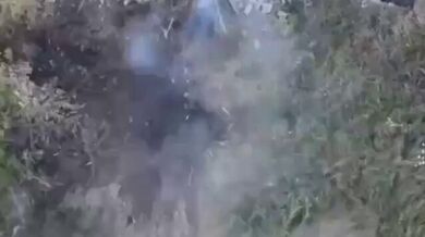 JP TWITTER PORN VIDEOS 00168190