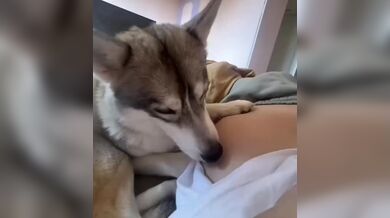 KR TWITTER PORN VIDEOS 00168204