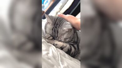 KR TWITTER PORN VIDEOS 00094556