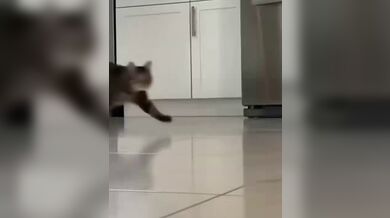 KR TWITTER PORN VIDEOS 00030266