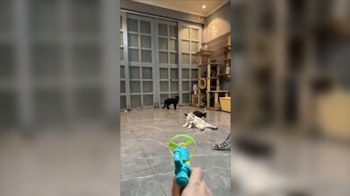 KR TWITTER PORN VIDEOS 00203984