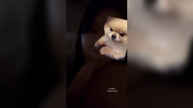 JP TWITTER PORN VIDEOS 00082034