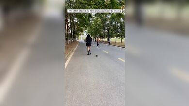 JP TWITTER PORN VIDEOS 00107759