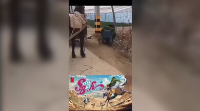 KR TWITTER PORN VIDEOS 00219394