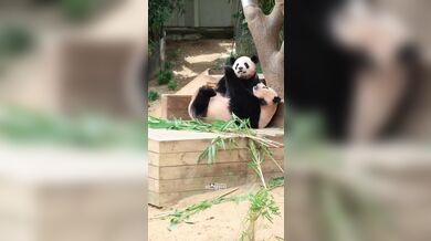 KR TWITTER PORN VIDEOS 00107974