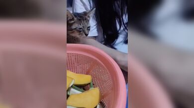 KR TWITTER PORN VIDEOS 00011396