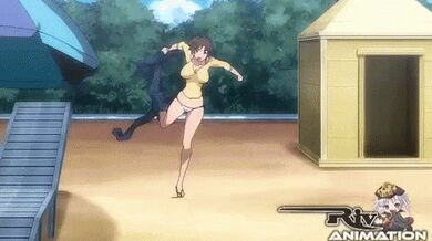 KR TWITTER PORN VIDEOS 00056686