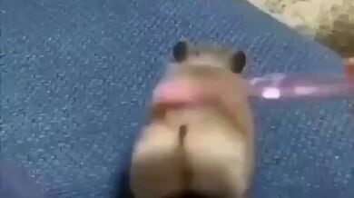 KR TWITTER PORN VIDEOS 00121149