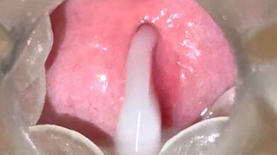 KR TWITTER PORN VIDEOS 00066443