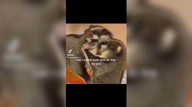 KR TWITTER PORN VIDEOS 00129604