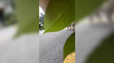 JP TWITTER PORN VIDEOS 00216787