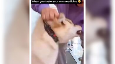 KR TWITTER PORN VIDEOS 00142599
