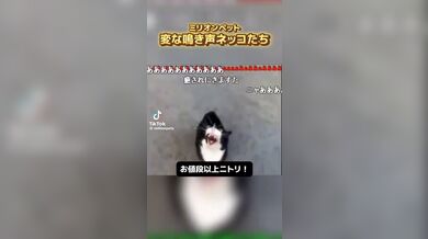 KR TWITTER PORN VIDEOS 00054071