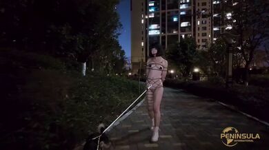 KR TWITTER PORN VIDEOS 00079822